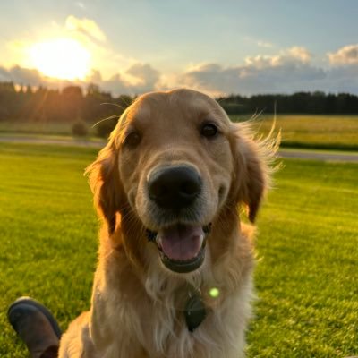plstrumptrudeau's profile picture. Father, entrepreneur, dog lover.
