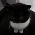 … (@eutanasiya) Twitter profile photo … (@eutanasiya) Twitter profile photo