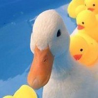 DuckMorganDuck (@duckmorganduck) 's Twitter Profile Photo