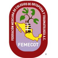 FEMECOT A.C. (@eventosfemecot) 's Twitter Profile Photo