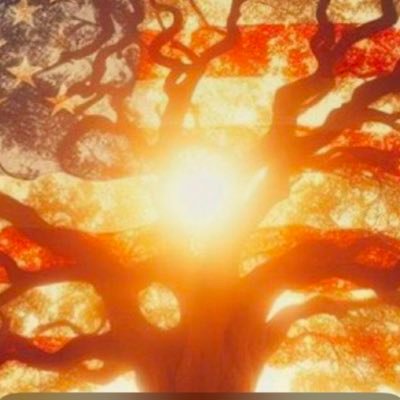 mikelin23894865's profile picture. 