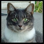 calvinawalsh's profile picture. 