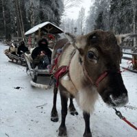 BigNed75 (@bigned75) 's Twitter Profile
