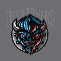 Buffalo Destroyers (@716destroyers) 's Twitter Profile