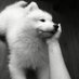 naughty puppy (@heyminrymiic__) Twitter profile photo naughty puppy (@heyminrymiic__) Twitter profile photo