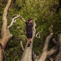kieranmini (@minimcnutter) 's Twitter Profile
