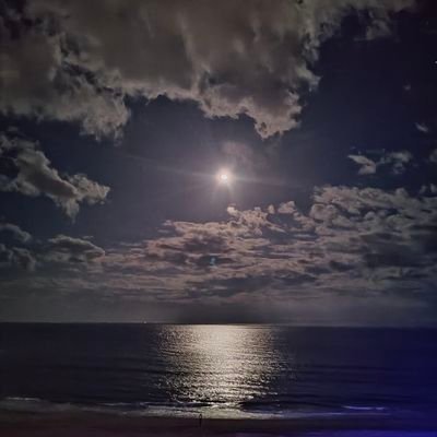 lposmack's profile picture. I prefer the tumult of liberty to the quiet of servitude - Jefferson :: MAGA 🇺🇸 :: Unicorn (SLP BCBA) making the fields great again.