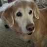 Jennifer_Anne_M's profile picture. Family Nurse Practitioner… currently exploring options on career changes and new goals. I love meeting new people and learning about people. Child of God.
