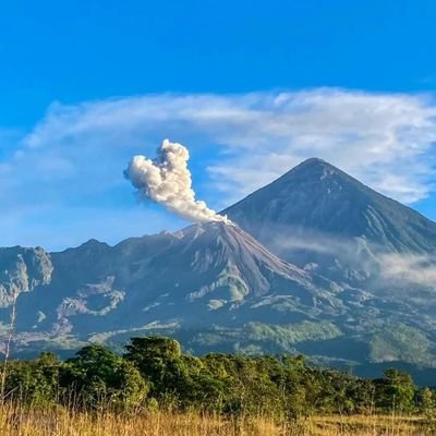 fr94562430's profile picture. Guia de Turismo. Médico y Cirujano Ginecólogo