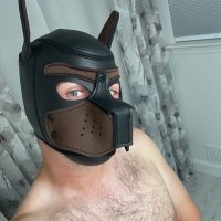 Lonelywolf (@lonelywolf346) 's Twitter Profile