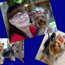 Sandra Hardman - @yorkie1211 - Twitter