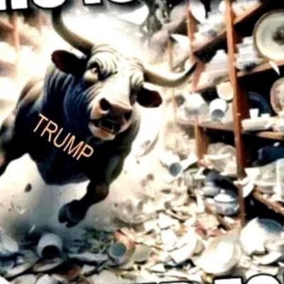 Bowtie73Z's profile picture. 