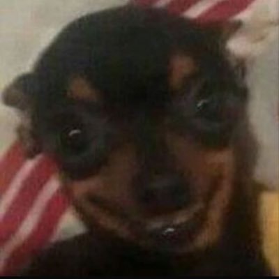 Googe1276's profile picture. 