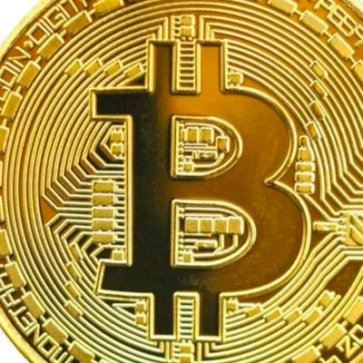 flanigan_c44256's profile picture. BTC 🇺🇸