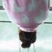 IRENE & SEULGI IN MANILA TT.TT (@hi_ryeong) Twitter profile photo IRENE & SEULGI IN MANILA TT.TT (@hi_ryeong) Twitter profile photo