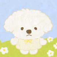강보ㄹ| ‼️별빛이 가족찾는중‼️ (@myb0r1) 's Twitter Profile Photo 강보ㄹ| ‼️별빛이 가족찾는중‼️ (@myb0r1) 's Twitter Profile Photo