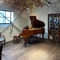 🐱ねこやん🐱🎹🎻垢 (@nekotaro0425) 's Twitter Profile
