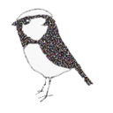 Karin Shaver - @myhiddensparrow - Twitter