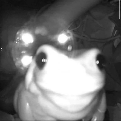 MyLife_AsLauren's profile picture. Surviving ✨