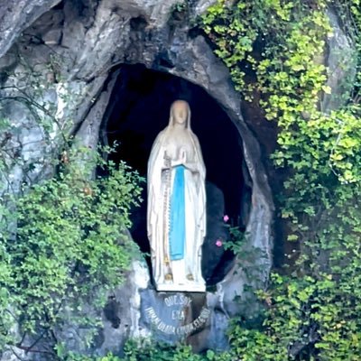 aurea_cr32's profile picture. Persona de buena voluntad, difícil de sacar de quicio!! Por un gran escritor conocí a @DannaGarcia gran actriz.