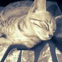 Young Im - @kinshu10 - Twitter