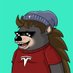 Felix🦔 (@felixkitty42069) Twitter profile photo Felix🦔 (@felixkitty42069) Twitter profile photo