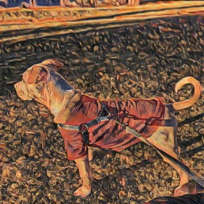 riozav28's profile picture. 