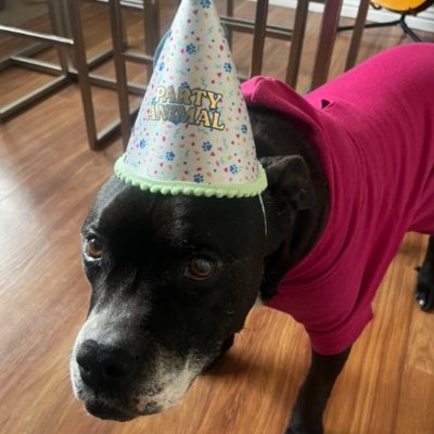 unbakedsakeoter's profile picture. 