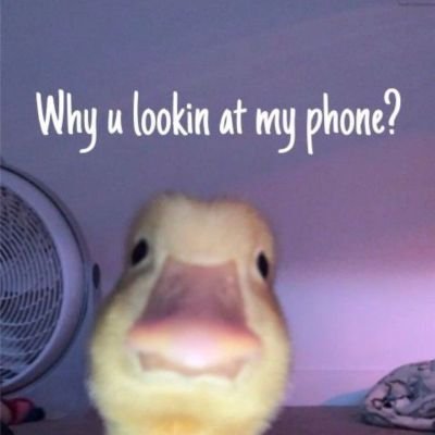 VECS40's profile picture. 