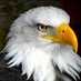 MAGA (@nano_r34) Twitter profile photo MAGA (@nano_r34) Twitter profile photo