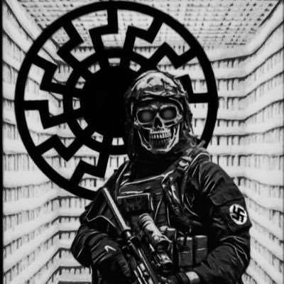 BlueEyedAryan88's profile picture. There is no political solution. The only solution is revolution. 🗣️🪖🎯 Ein Volk, Ein Reich, Ein Führer!