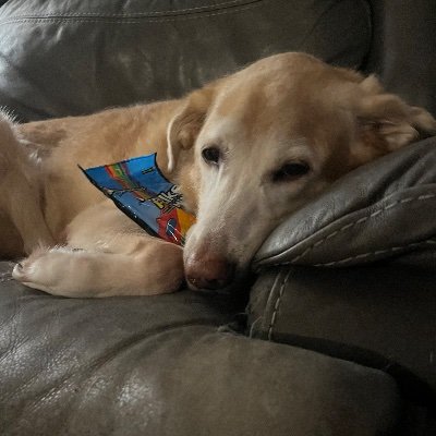 BraydenTho63156's profile picture. I don't know so hi