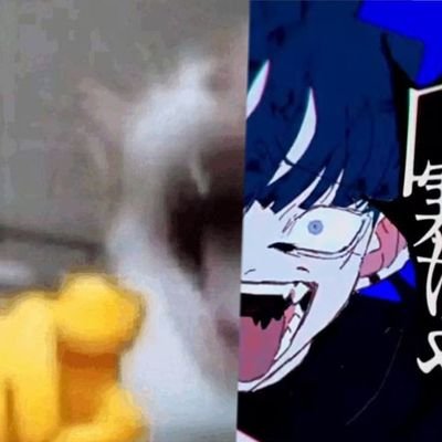 Zhinkda's profile picture. top 0 universal🗣️🔥‼️

odio el odio