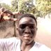 Bakary Sanneh (@bakarys11391599) Twitter profile photo Bakary Sanneh (@bakarys11391599) Twitter profile photo