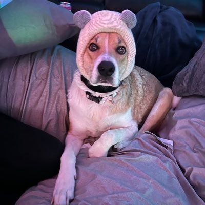 KevinKlaus61549's profile picture. 