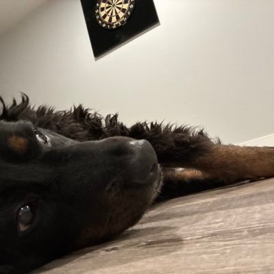 nerdcat69420's profile picture. #sixers 🟦