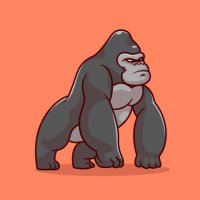 memeruizcruz (@memeruizcruz) Twitter profile photo