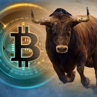Bitcointrader (@bitcointrader15) 's Twitter Profile