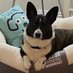 CorgusMaximus (@redrabbit0955) Twitter profile photo CorgusMaximus (@redrabbit0955) Twitter profile photo
