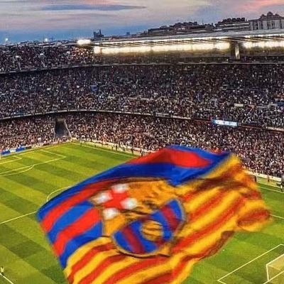 ShuoLi73234's profile picture. 