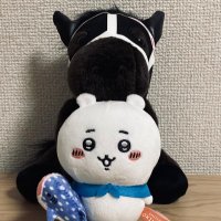 ぽぽ（いけずいし） (@p_okomesky) Twitter profile photo