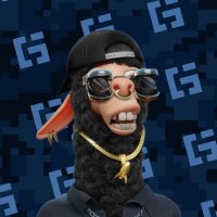 SOL_GEEK 🐢🫶 🥥 (@obot_caleb) 's Twitter Profile