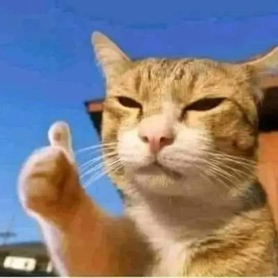 picaya19's profile picture. 