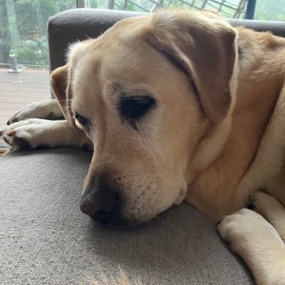 alunfarrar's profile picture. English bloke in Australia.