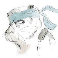 ChigüireFeo (@chiguirefeo) 's Twitter Profile Photo ChigüireFeo (@chiguirefeo) 's Twitter Profile Photo