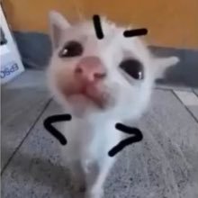 concerning_mole's profile picture. Bruh what