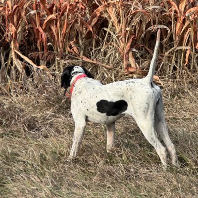Christian | Husband | Father | Grandfather | Upland Bird Hunter | Libertarian