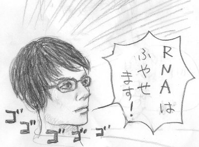 Y-SASAさんのプロフィール画像