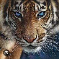 Lady Tigress (@ladyconstance8) 's Twitter Profile Photo Lady Tigress (@ladyconstance8) 's Twitter Profile Photo