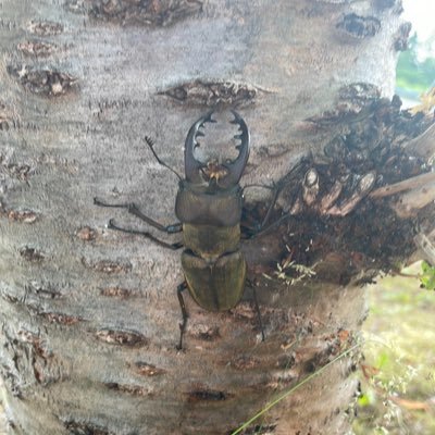 GqRvY7ddlp1OS1C's profile picture. 基本的にROM専です。  突然のフォローなどご容赦ください。